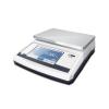 XINYUN XY3MTC Electronic Balance 3000g/0.01g