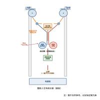 慧诺 JTM-PDLC300-LAB 实验室卷对卷涂布机 PDLC调光膜合膜设备 有效幅宽≤300mm