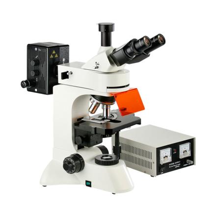 TEELEN TL3201 Fluorescence Microscope