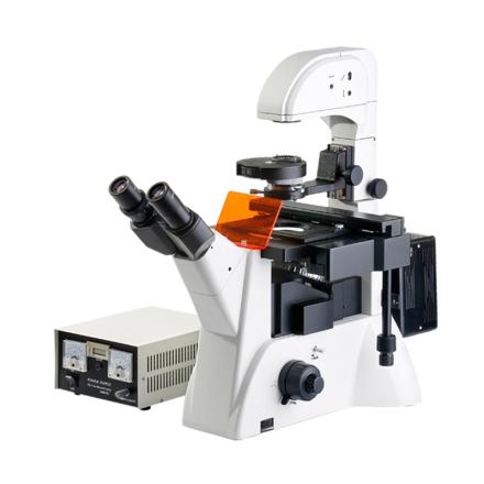 TEELEN DXY-2 Inverted Fluorescence Microscope