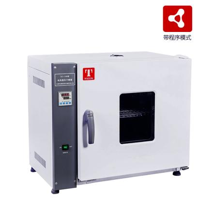 TAISITE 202-1AB program-controlled horizontal electric thermostatic Drying Oven 250 ℃/71L