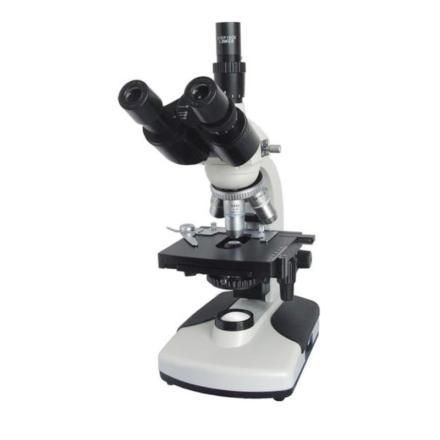 Varnishing XSP-BM-2CBA Microscope Optical inspection Magnification 40X-1600X