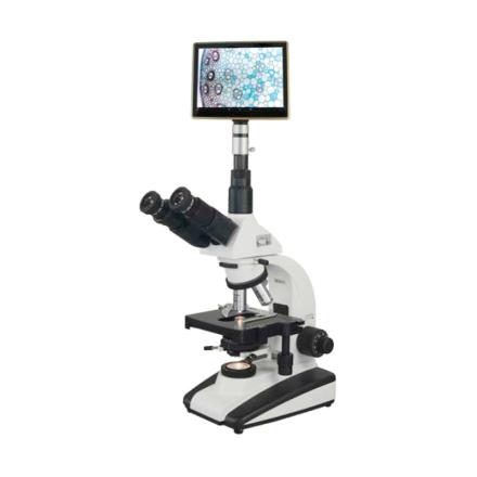 Varnishing XSP-BM-20AP Tablet Microscope with 9.7-inch large screen