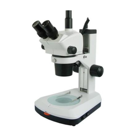 Varnishing XTL-BM-8T Continuous Diploidy Microscope Total Magnification 50X