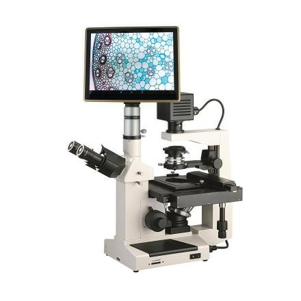 Varnishing BM-37XFP Tablet Inverted Bio Microscope Magnification 100X-400X