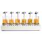 RONGHUA HJ-6 Six Head Magnetic Heating Stirrer