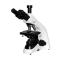 Optical inspection TL2700A Binocular Microscope