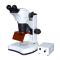 TEELEN XTL-20D Trinocular Fluorescence Microscope