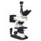ShangGuang BM-21AWY Sanmu Luo Transmission Fluorescence Microscope