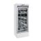 Guohua 250D Digital Illumination Incubator