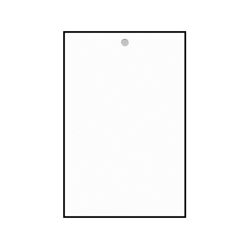 美国Leneta Form nwk 无罩光油卡纸 纯白色