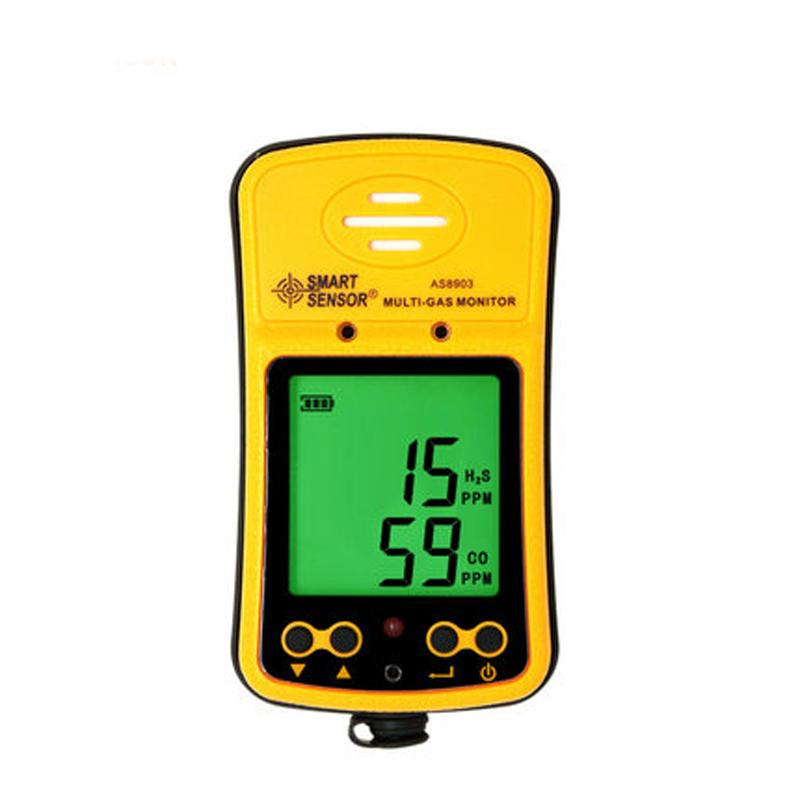 SMART SENSOR AS8903 2-In-1 Gas Detector (diffusion type + pump suction type)