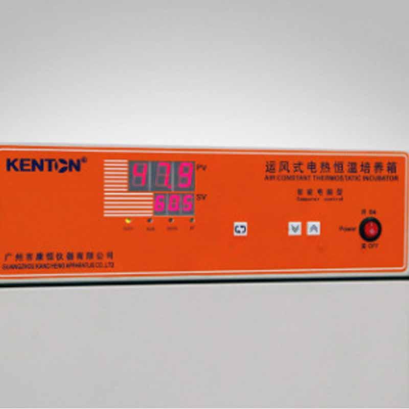 康恒Kenton 303-1AS 数显运风式培养箱2