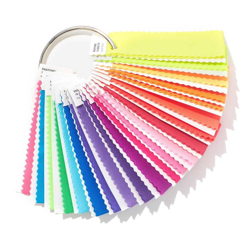 Pantone FFN100 TN Nylon Bright Color Card 