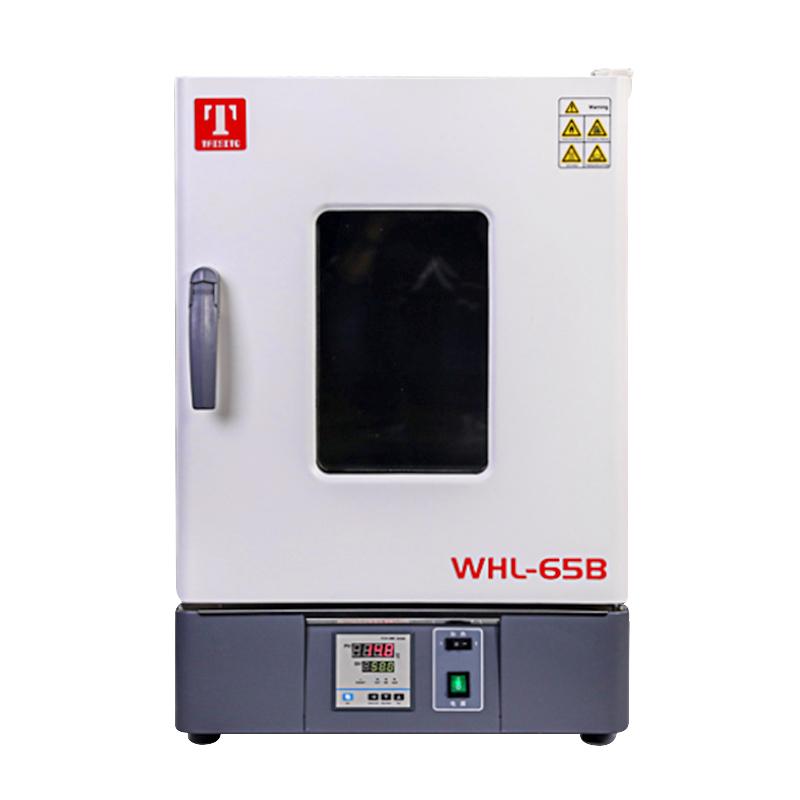 泰斯特WHL-30B(带程序模式)电热恒温干燥箱图1