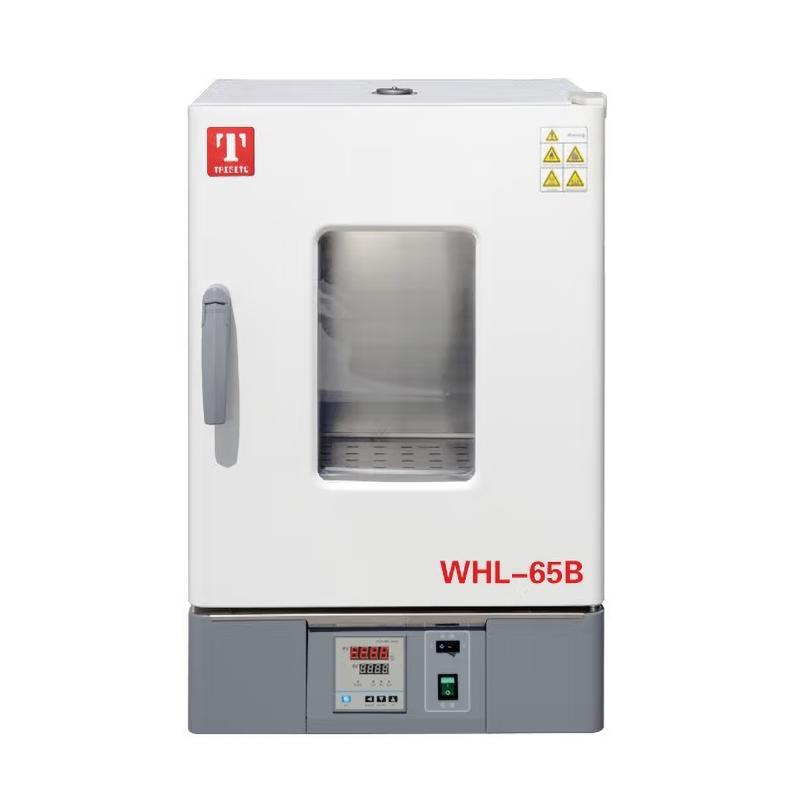 泰斯特WHL-125B(带程序模式)电热恒温干燥箱图1