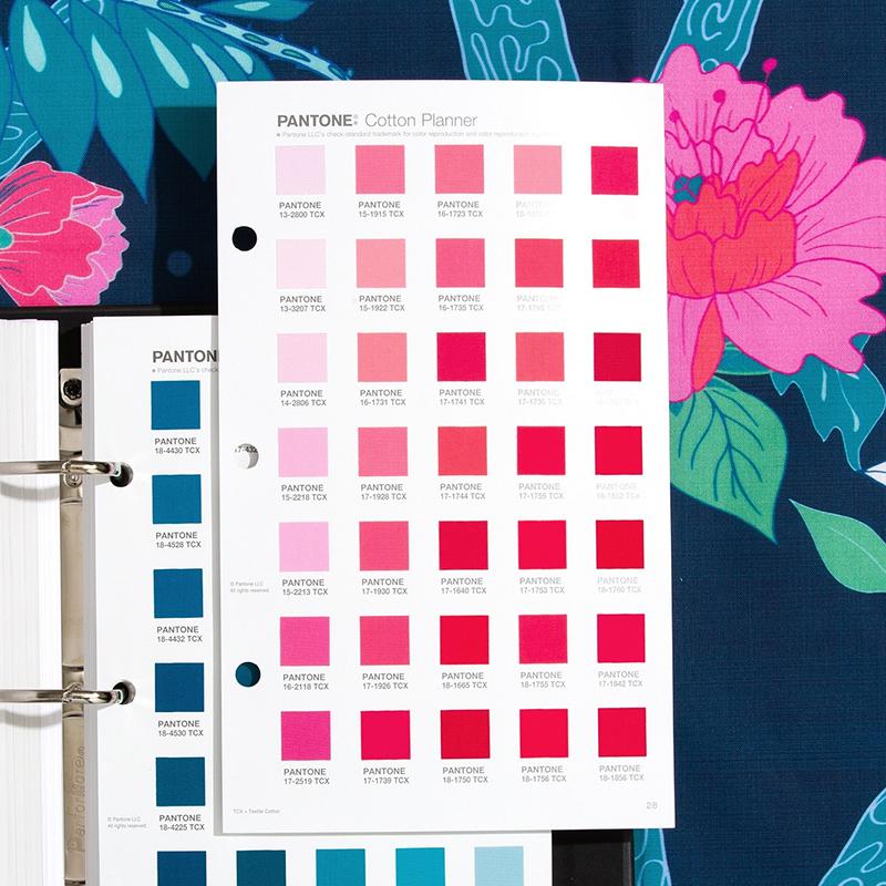 彩通 FHIC300B TCX色卡图2