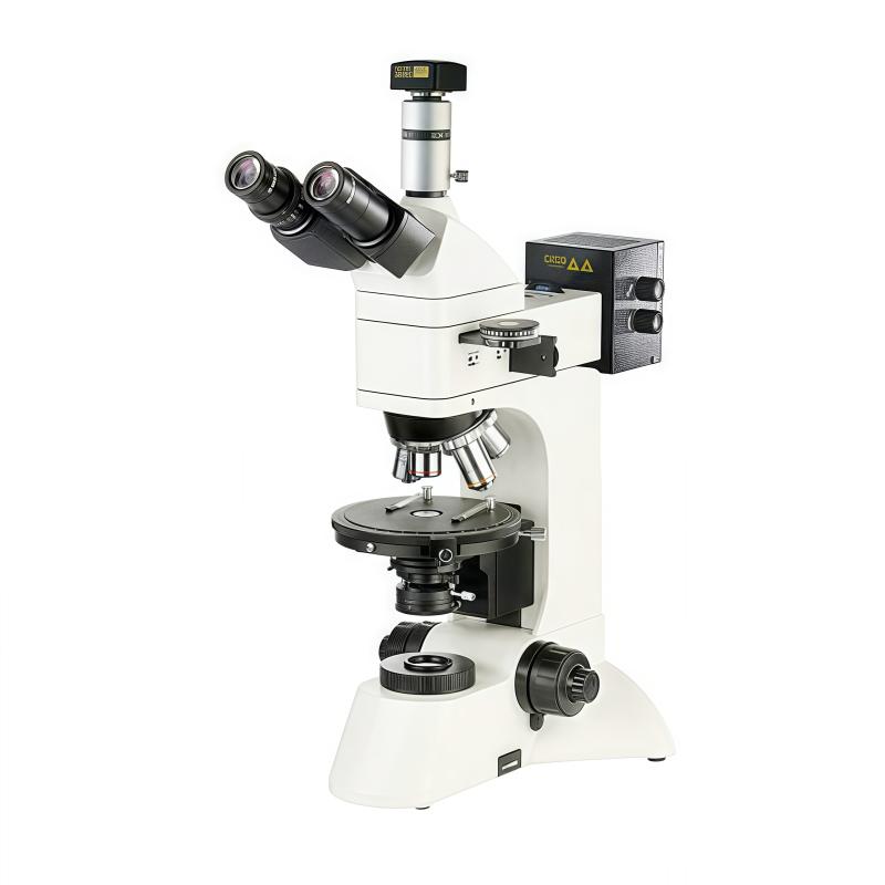 Varnishing BM-62XCD Computer reflection Polarizing Microscope