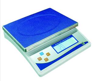 JINGHUA YP10KN Electronic Balance
