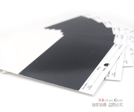 Leneta 2DX遮盖力卡纸侧面图