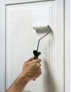 What are the disadvantages of shellac primer, and which primer can improve these shortcomings? Picture 1