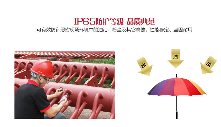 Mattel MCT200 Coated Thickness Gauge Protection Rating