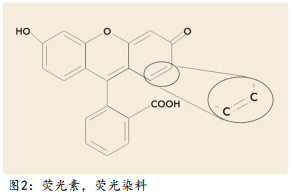 Fluorescence measurement theory diagram 2