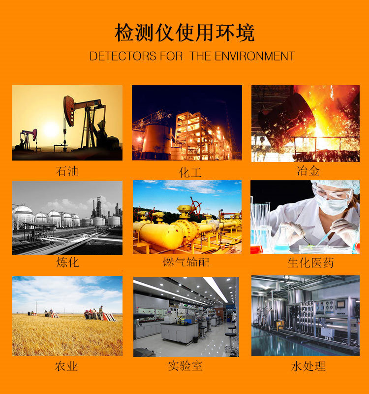 Visionless ES10B11-N2 Fixed Nitrogen Detector Application Environment