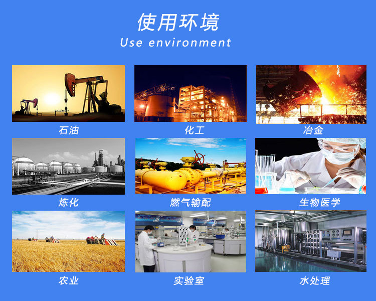 The ES90C-8/R gas alarm controls the environment in which the host is used