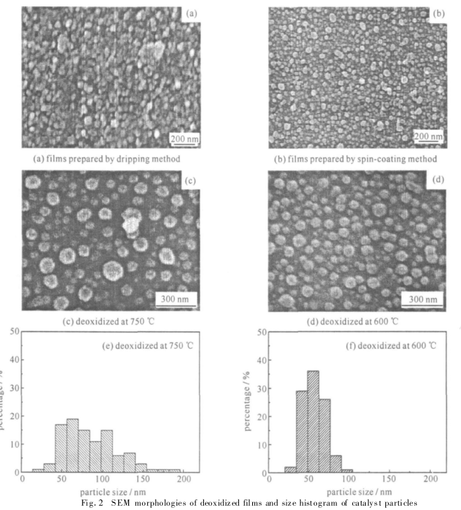 Fabrication of substrate-grown aligned carbon nanotube arrays by spin coating method Figure 2