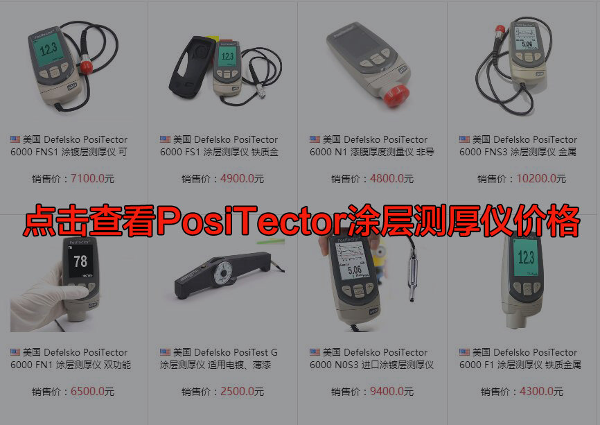 Positector 6000 Standard Coating Thickness Gauge Instructions for Use Detailed Explanation with Figure 1