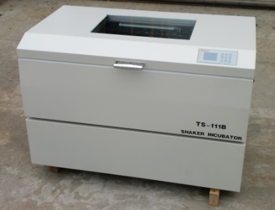 Illustration of the TS-111B horizontal Incubator