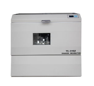 Diagram of the TS-111GZ horizontal light Incubator