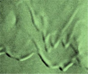 Consequences of applying coatings outside the recommended thickness range with Figure 4