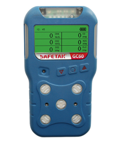 Softel GC60S-O2 (0-30%vol) Intelligent O2 Sensor Details Figure 1