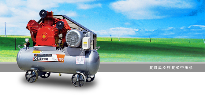 W series oil-free air-cooled reciprocating Air Compressor