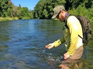 The impact of the temperature logger UTBI-001 on the ecological restoration of rivers in the Pacific Northwest Region with picture 1