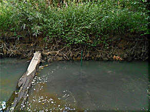 ONSETHOBO U26-001 Dissolved Oxygen Logger Used to Monitor Dissolved Oxygen in Endangered Mussel Habitats with Figure 1