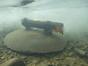 ONSETHOBO U24-002-C/U24-001 Dissolved Oxygen Recorder in Natural Gas Development and Evaluation Application Figure 1