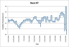 UA-001-64 temperature Recorder is used for sex prediction of young returnees with picture 2