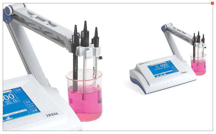 Ray magnetic PXSJ-226 Ion Meter display diagram