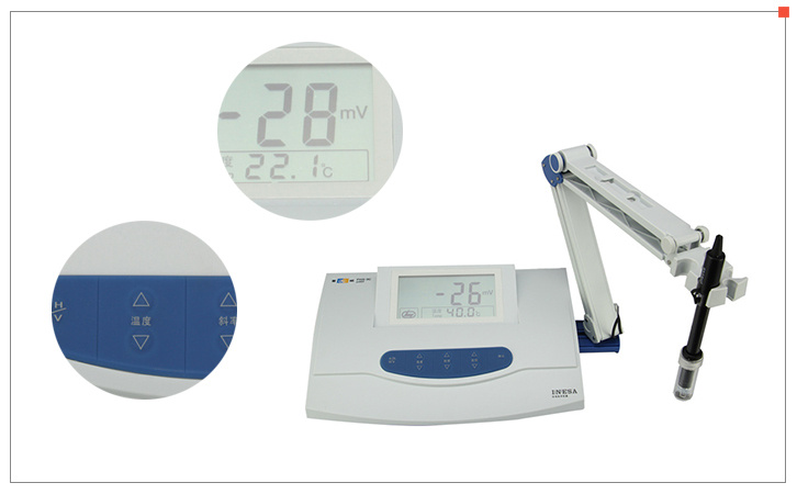 Ray Magnetic DDS-307 basic conductivity meter display diagram