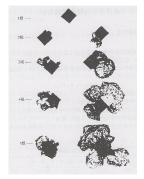 Method for testing the brittleness of the nitriding layer with a micro-Vickers Hardness Tester Figure 1