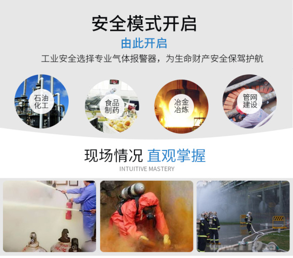 DR-600 (Digital Display) Point Gas Detector 4