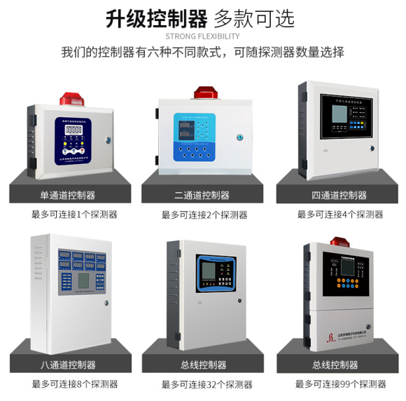 DR-600 (Digital Display) Point Gas Detector 12