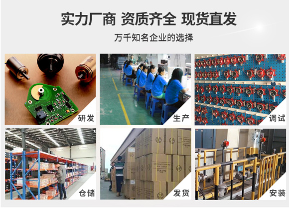 DR-600 (Digital Display) Point Gas Detector 18