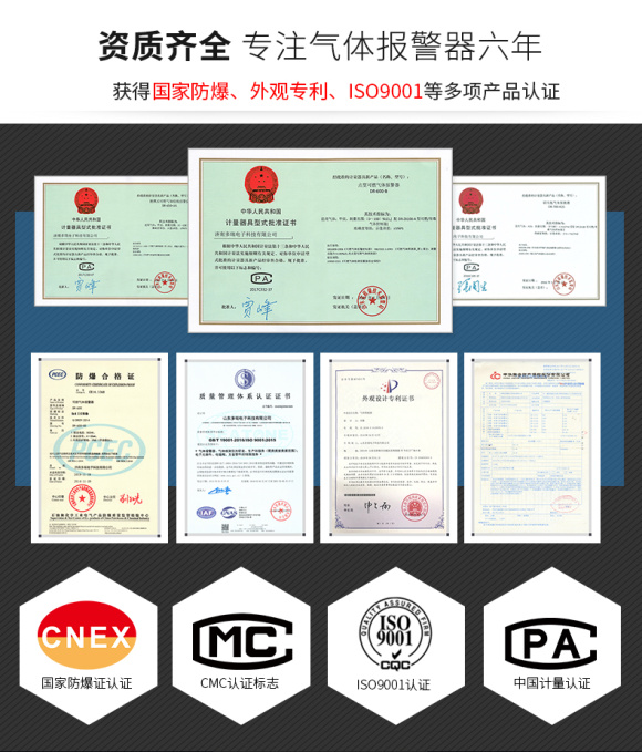 DR-600 (Digital Display) Point Gas Detector 1