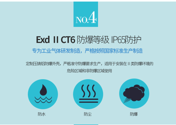DR-600 (Digital Sound and Optical Display) Point Gas Detector 8