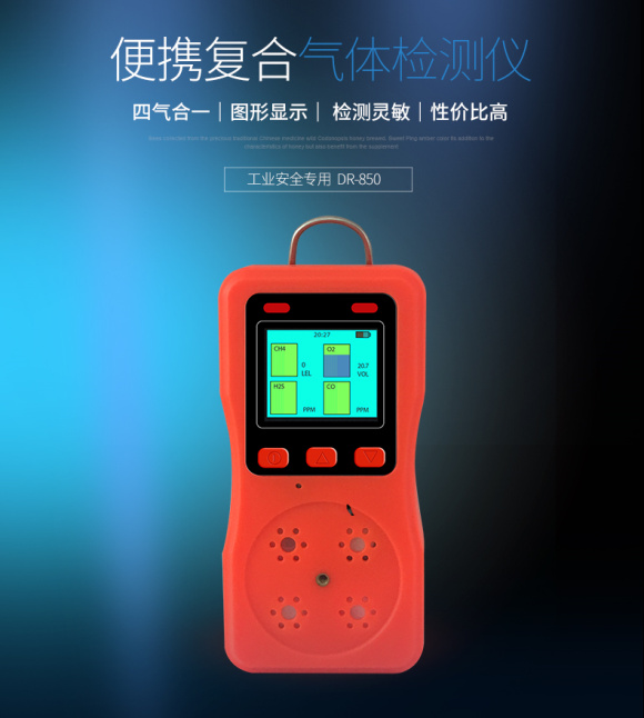 DR-850 Composite Gas Detector2