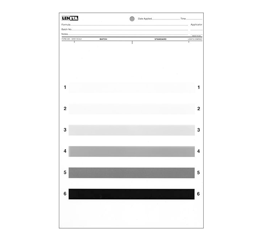 American LENETA Form 24B grayscale cardboard display